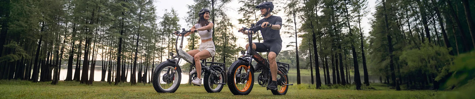 Electric Bikes
