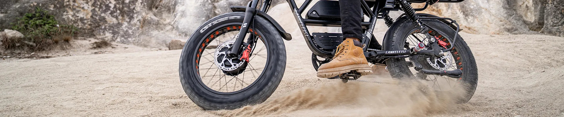 Dual Motor E Bike