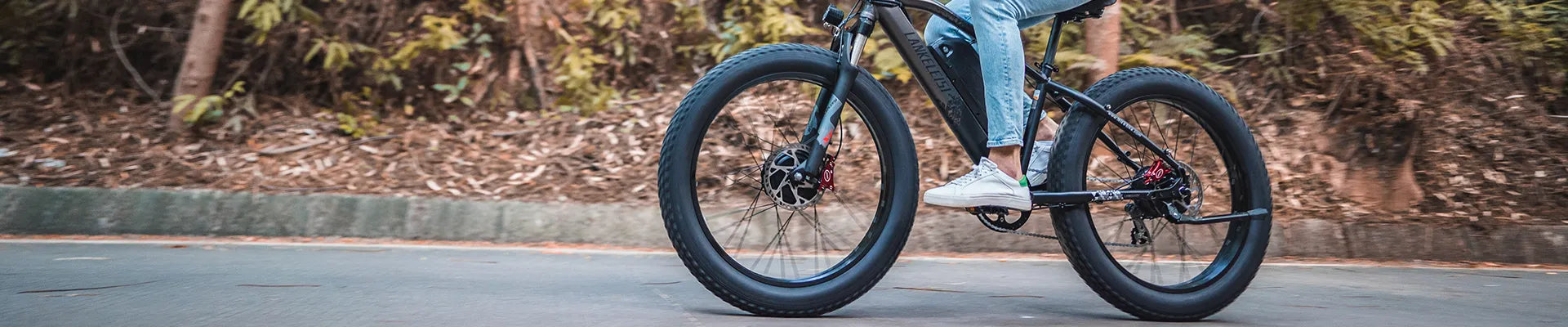 Fat Tire Ebikes