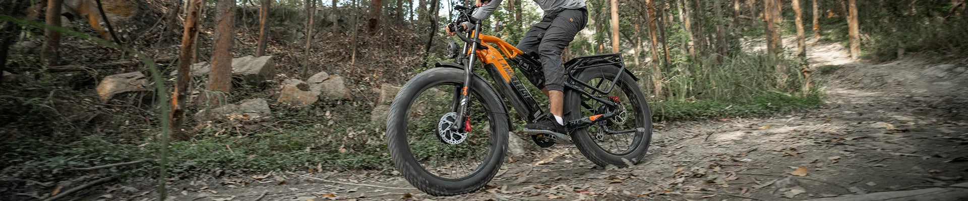 Full Suspension Electric Bike