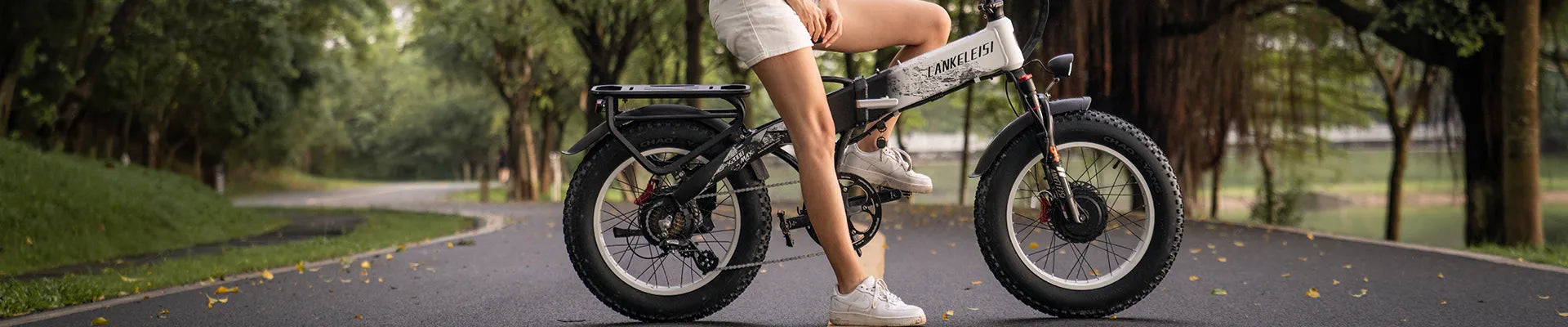 Folding E Bikes