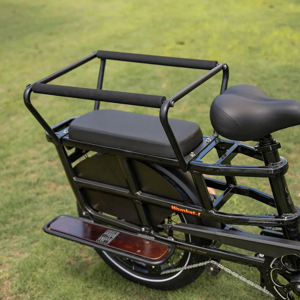 Lankeleisi Wombat-1 Rear Child Safety Rail & Footrest Kit for E-Bikes LANKELEISI
