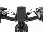 ENGWE EP-2 Boost