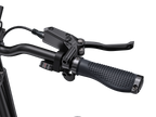 ENGWE Engine Pro 3.0 Boost