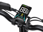 ENGWE Engine PRO 2.0