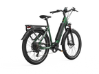 Low step e bike