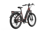 Low step electric bike