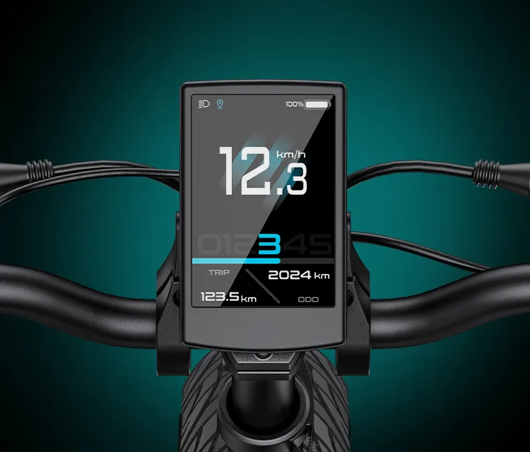 Smart LCD Display