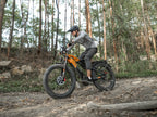 LANKELEISI MG800MAX
