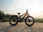 LANKELEISI MG800MAX